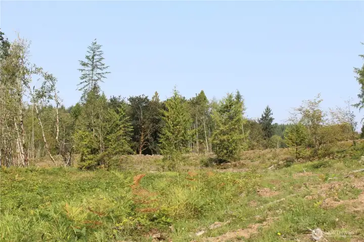 You are not going to want to miss the opportunity to own this amazing property!