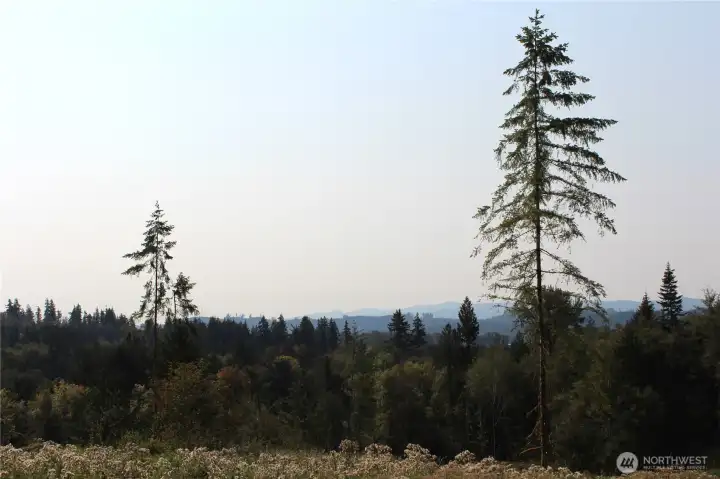 Imagine enjoying these picturesque views after a long day, relaxing at your new home! Don't miss out on this one, come check it out today!