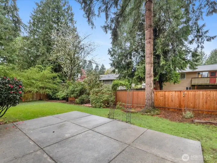 The barbecue sized backyard patio.