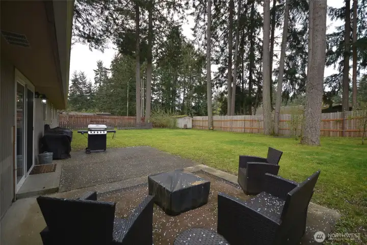 Back patio off the slider offers great space for relaxing and BBQing on this huge corner lot.