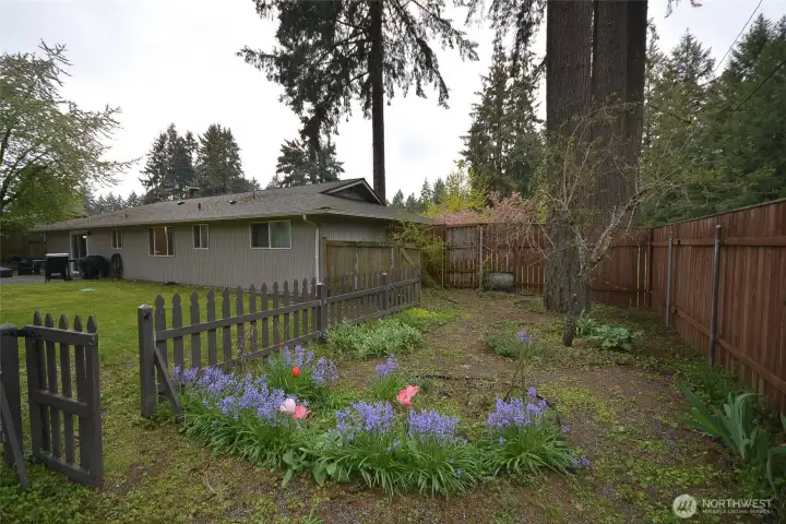 Great area can be used for gardening.