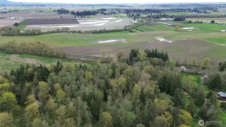 Ariel View of property