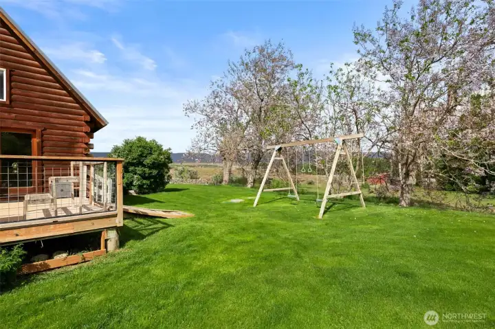 Huge Grass area with Swingset