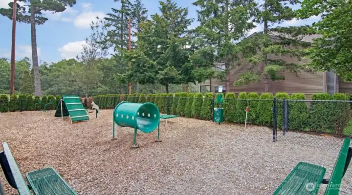 Dog park Dog park