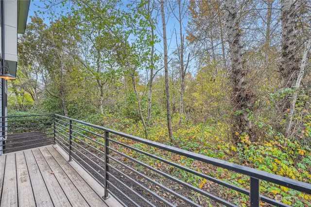 Private outlook over wetland buffer zone.