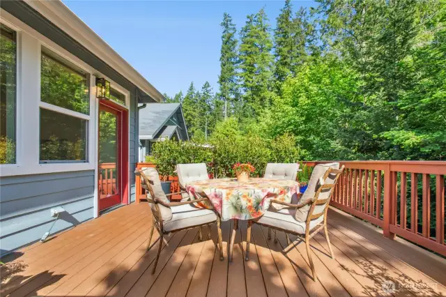 Another view of the Trex deck