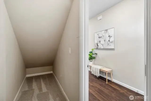 under stairs storage