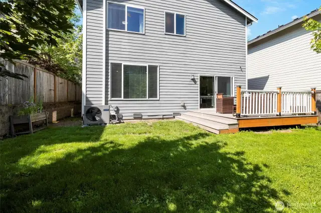 back yard
