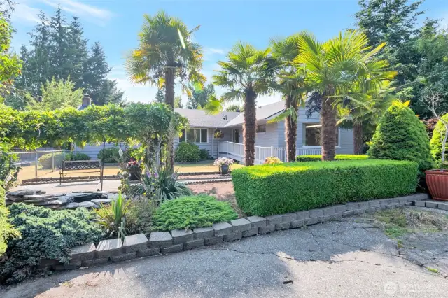 Front of the house with palm trees, lawn and pond area