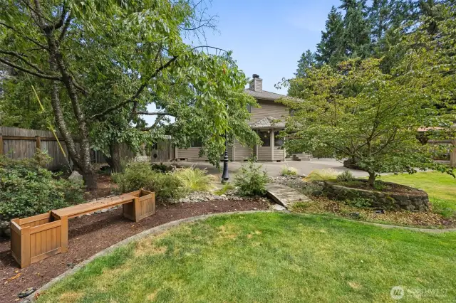 Backyard cherry