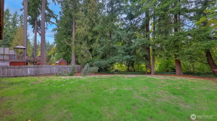 Enjoy outdoor living in this tranquil yard backed by lush greenery and mature trees.