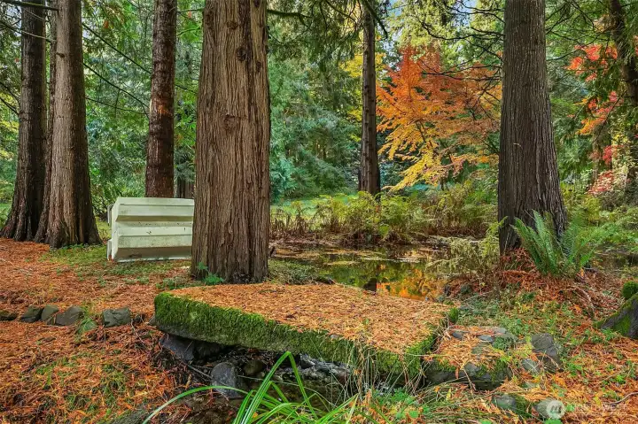 One of two bridges for crossing the stream.