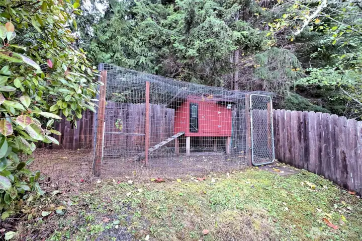 Wonderful BIG chicken coop! It runs a long ways down the fence line for your chickens to have plenty of SAFE ground to roam.