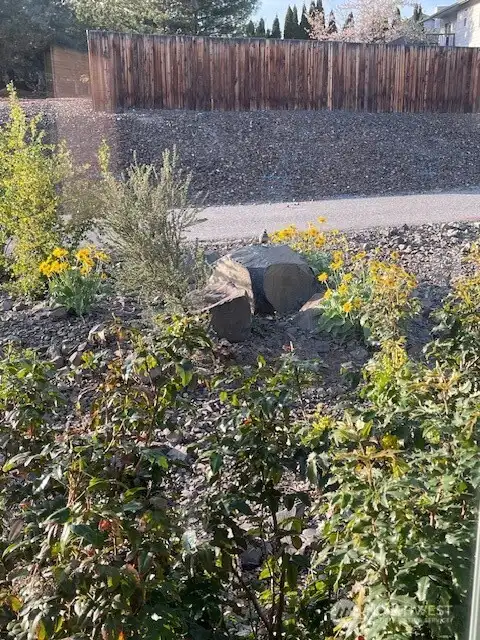 Thoughtful landscaping creates a natural habitat