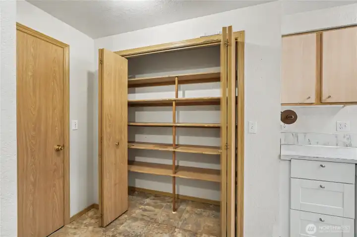 View of your pantry next to your kitchen - plenty of storage. Door to garage to your left.