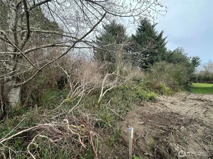 neighbors property is staked