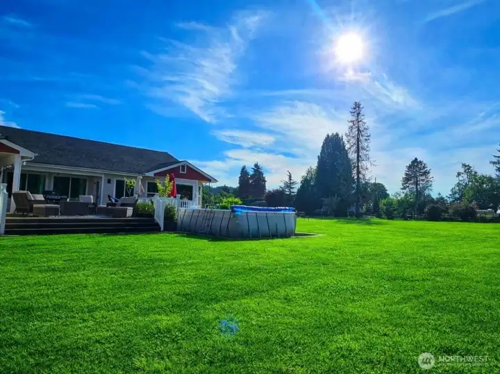 Backyard views