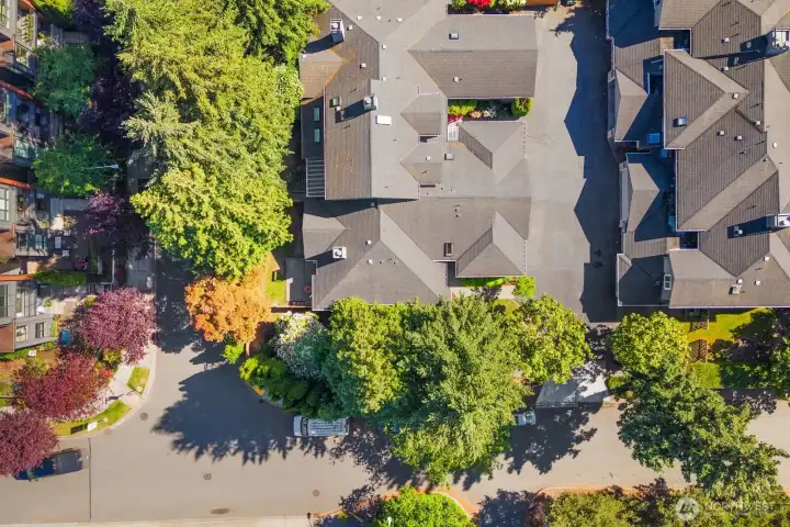 Boutique community just steps to the Waterfront, Marina and everything Downtown Kirkland!