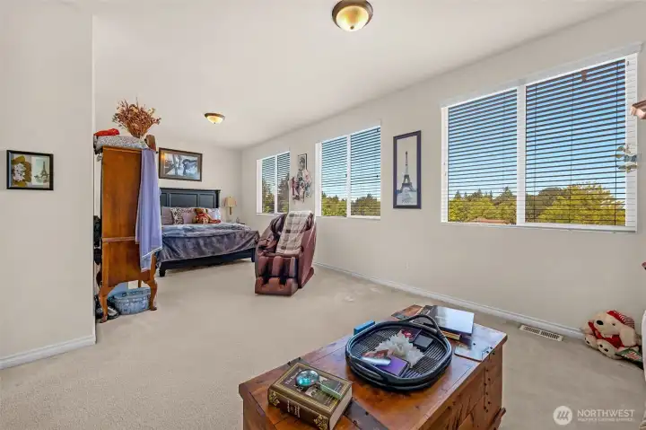 Valley View from Loft