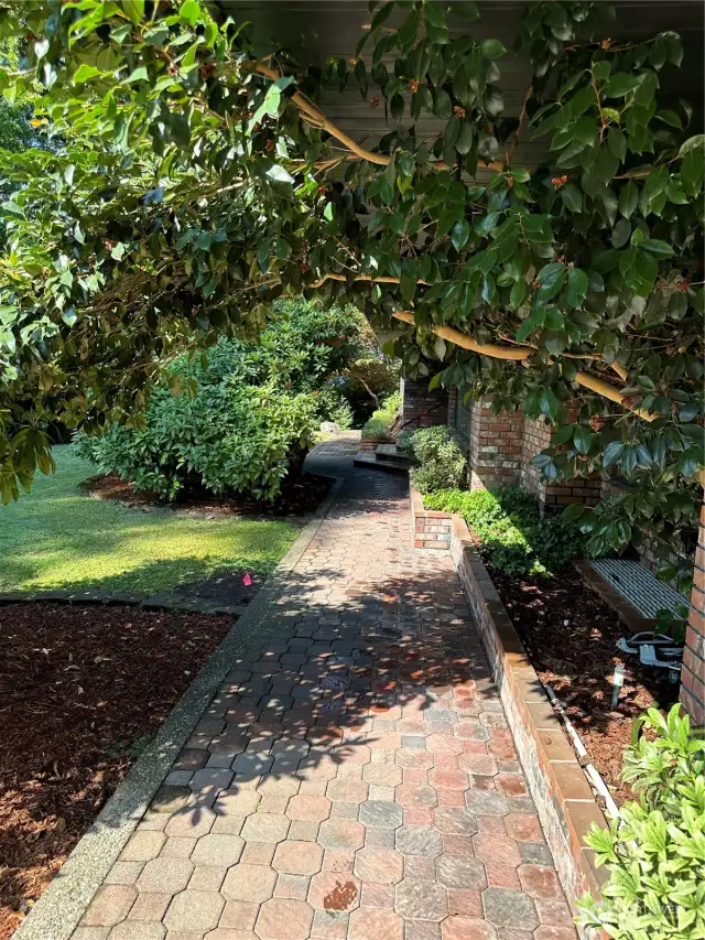 Sidewalk from driveway to front door