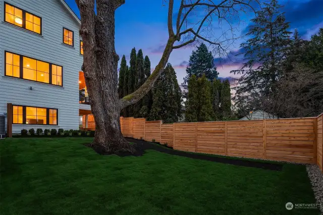 Black Walnut tree grounds this property and the spacious backyard. (Grass is being completed)