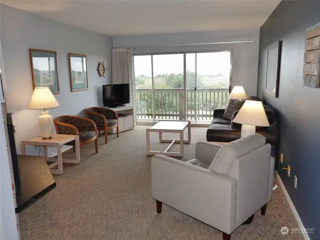 Comfortable and nicely decorated Living Room.