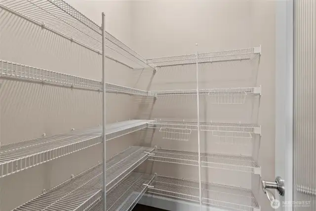 Textured glass door leads to an expansive walk-in pantry with auto-light sensor and tons of shelving, providing ample storage for kitchen essentials.
