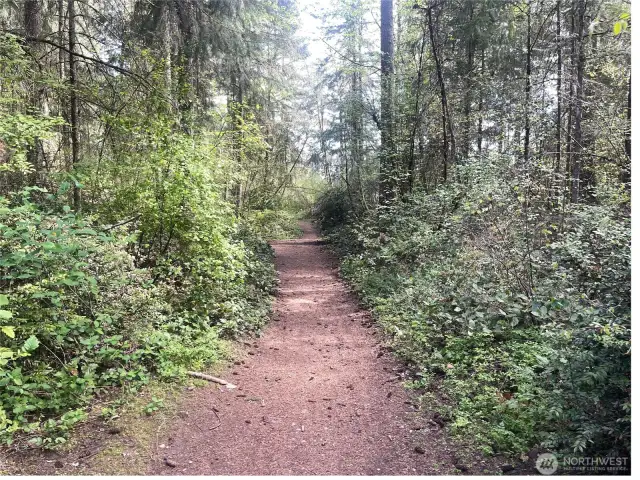 Explore scenic walking and biking trails nestled among the evergreens—right in the heart of Meridian Campus.