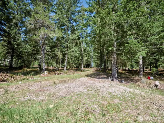 Cleared area
