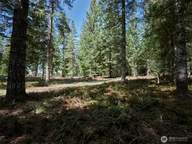 Acreage