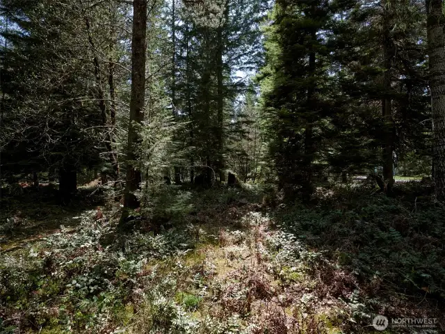 Acreage