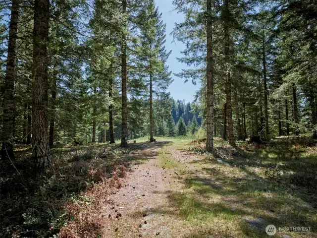 Driveway Entrance