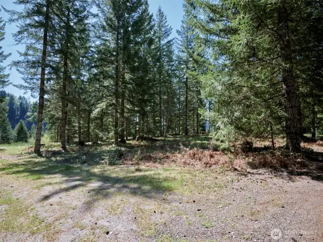 Cleared area