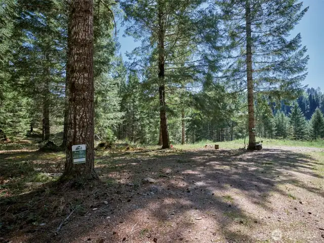 Cleared area