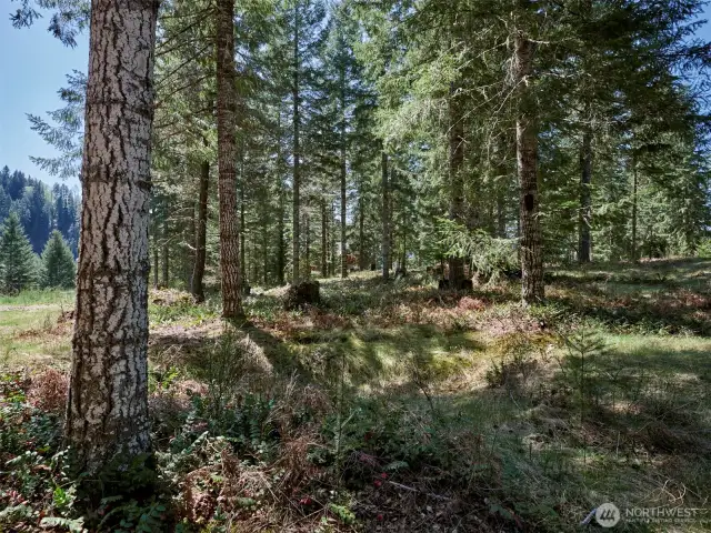 Acreage