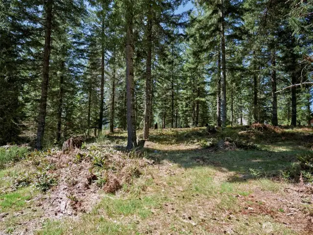 Acreage