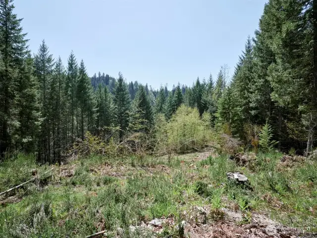 Acreage