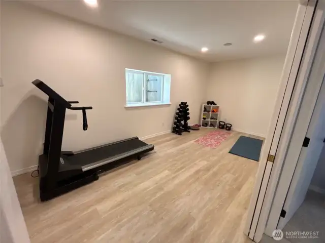 Bonus room in basement