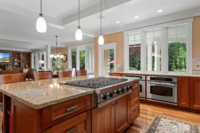 Viking 6 Burner Stove and Double Ovens!