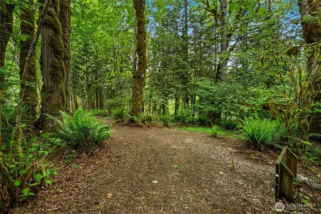 Walking Trail on property, including down to Green Cove Creek.