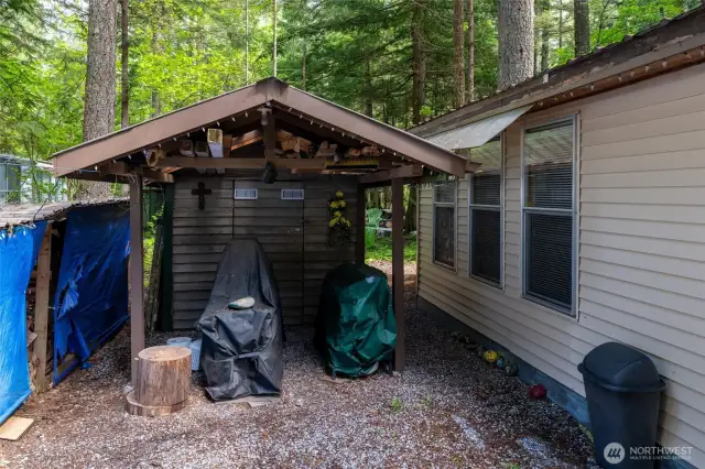 Storage and BBQ with wood stack.