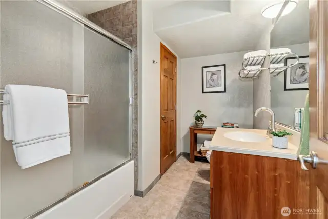 Lover level full bathroom