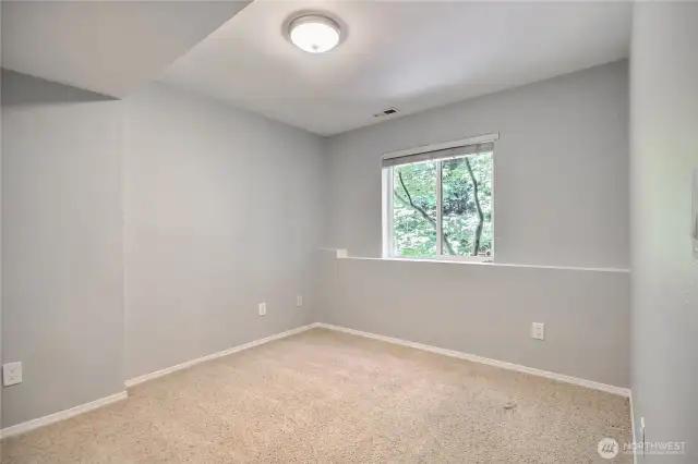 Basement full bedroom with walk in closet