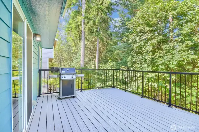 Trex deck with aluminum railings