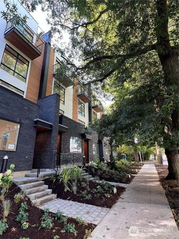 Quiet, Serene Queen Anne neighborhood