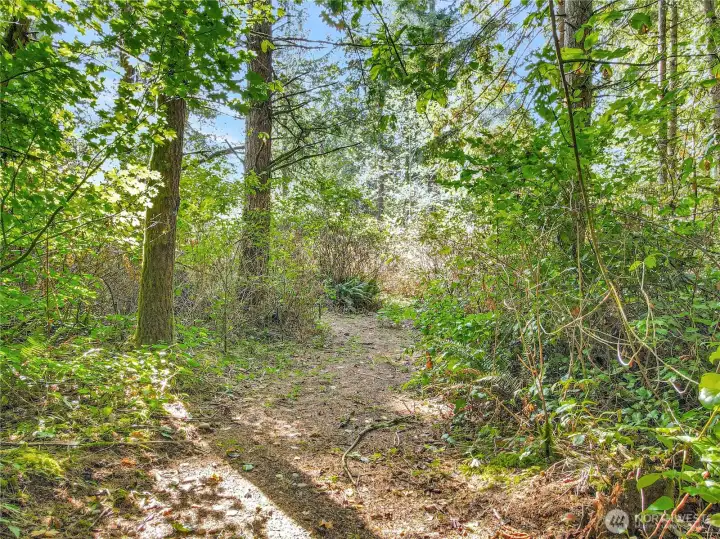 South edge of forest