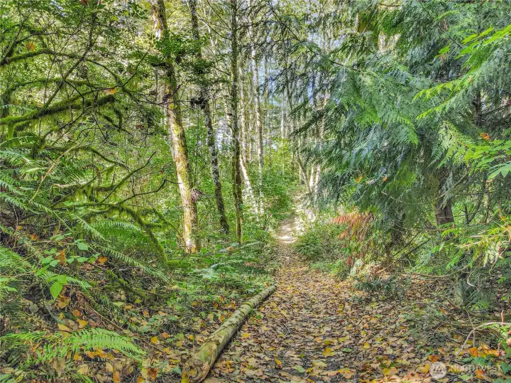 A lovely walk