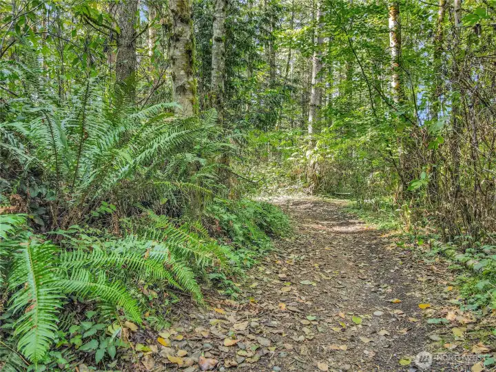Trail East to West