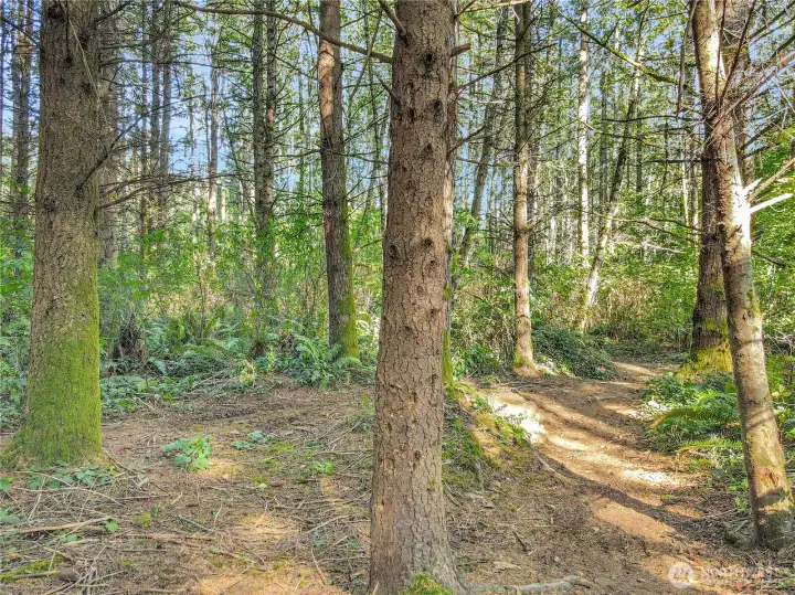 Near the end of the East/West trail