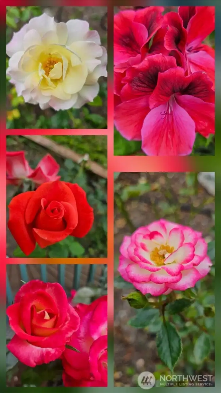 More flowers when the Rose Garden is in Bloom